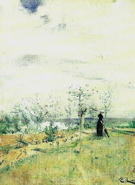 Carl Larsson korsbarsblom-kvinna i landskap Germany oil painting art